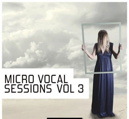Pulsed Records Micro Vocal Sessions Vol.3 WAV MiDi